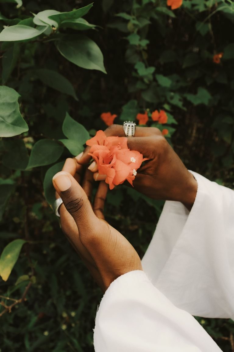 Close-up of hands gently holding a vibrant red flower, capturing natural beauty and elegance.